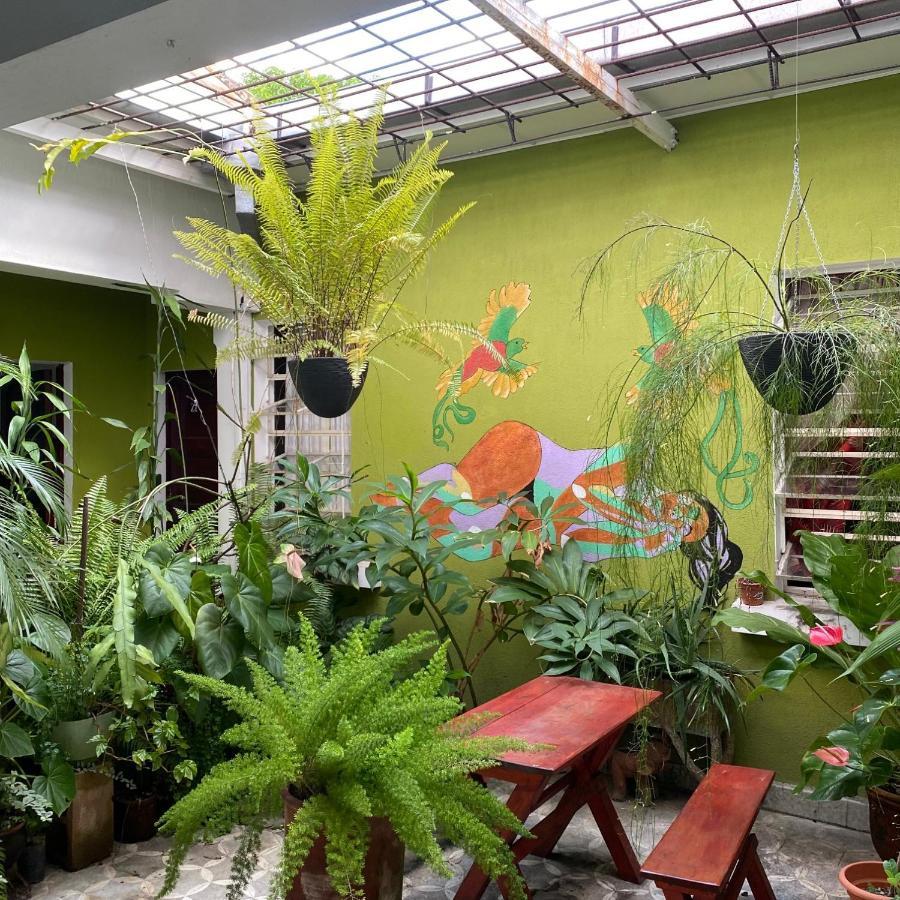 Hostal Cumbres Del Volcan Flor Blanca San Salvador Exteriör bild